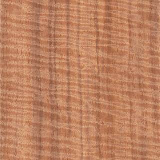 黑骨影 Eveuss Figured