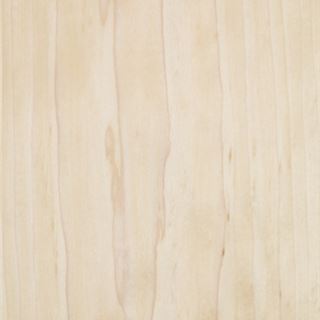 白杨 White Poplar