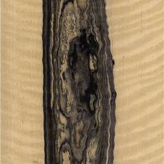 黑白檀影 Black and White Ebony Figured