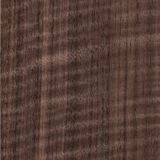 黑胡桃直纹有影 Black Walnut Quarter